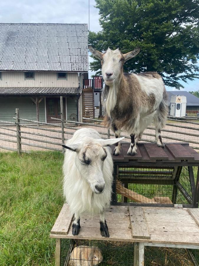J A Ranch Bed & Breakfast Stromsnasbruk Экстерьер фото